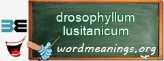 WordMeaning blackboard for drosophyllum lusitanicum